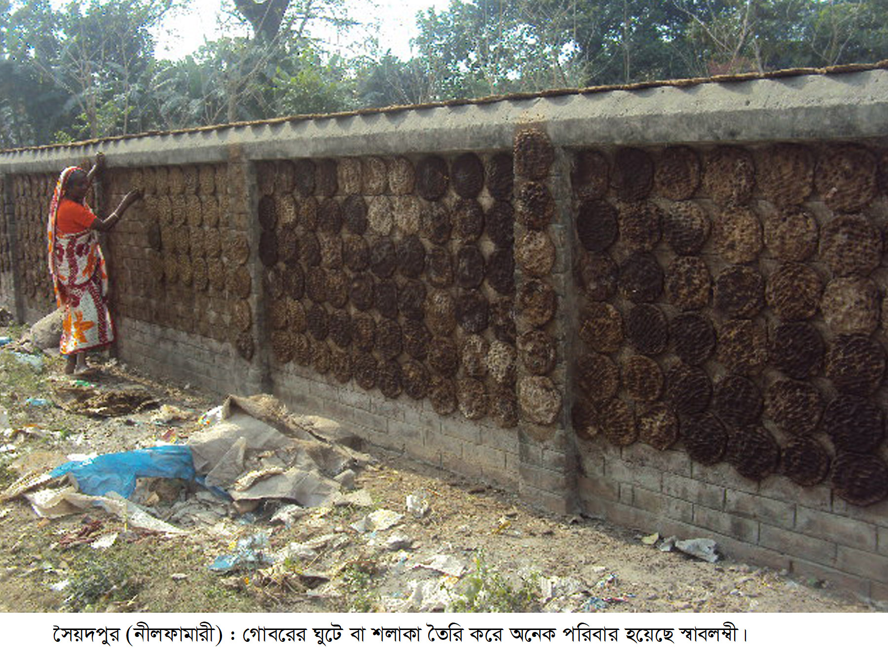 সৈয়দপুরে গোবরের ঘুটে বা শলাকা বিক্রি করে স্বাবলম্বী