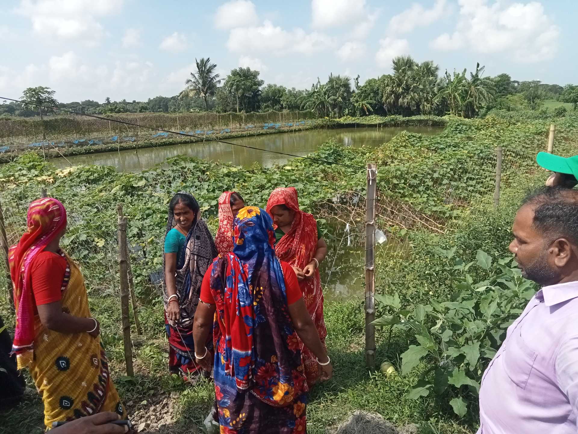 নারীর হাত ধরে জলবায়ু সহনশীল কৃষিতে বদলে যাচ্ছে জীবনের গল্প