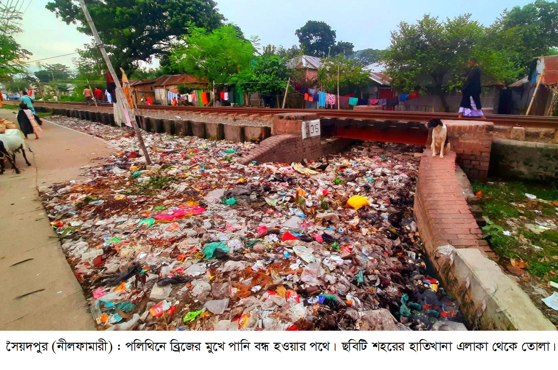 নিষিদ্ধের পরও সৈয়দপুরে বাজারে পলিথিনের ছড়াছড়ি