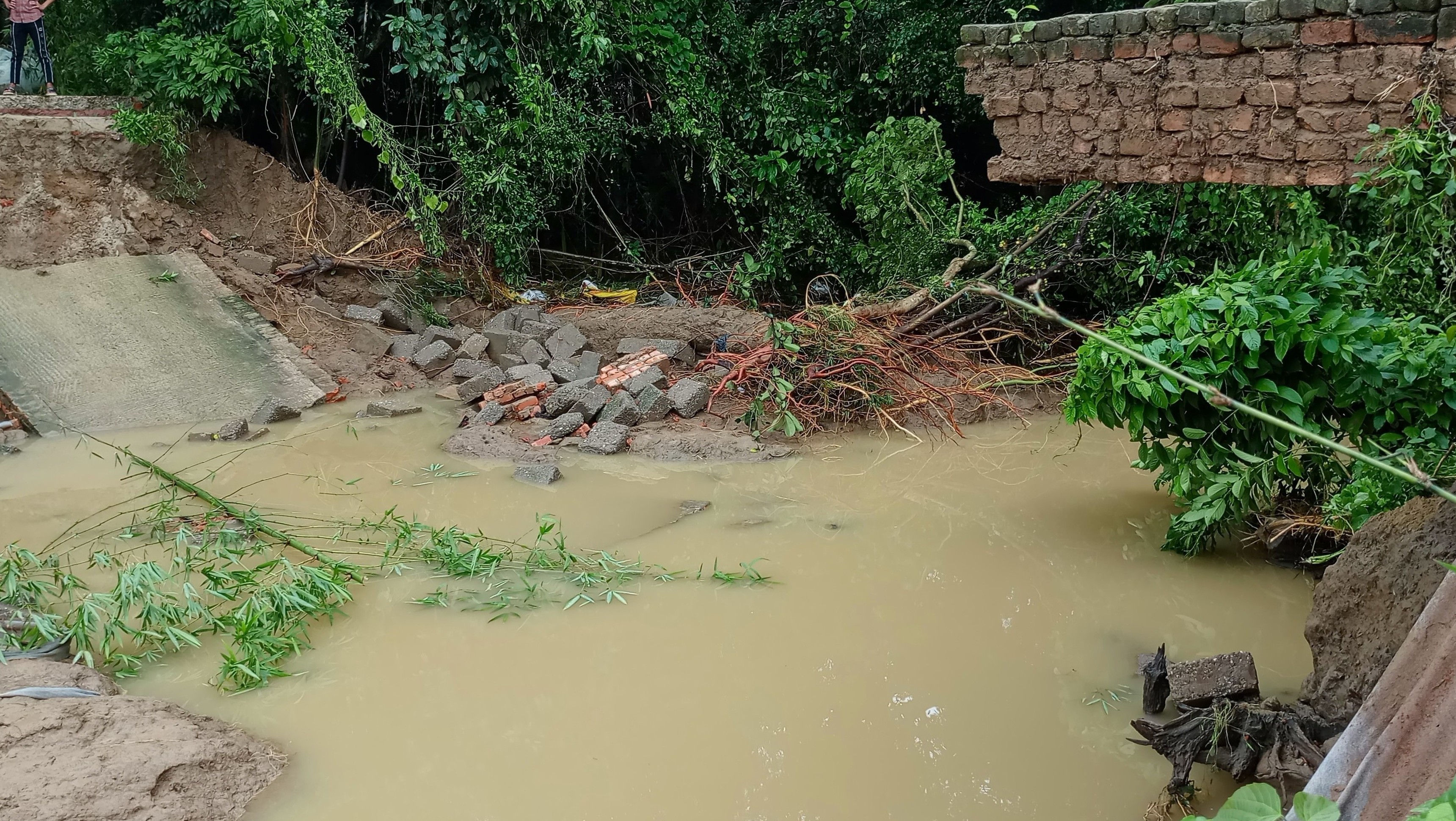 ফুলগাজীতে বাঁধ ভাঙনে প্লাবিত ৫ গ্রাম, পানি নেমে যাচ্ছে নিম্নাঞ্চলে