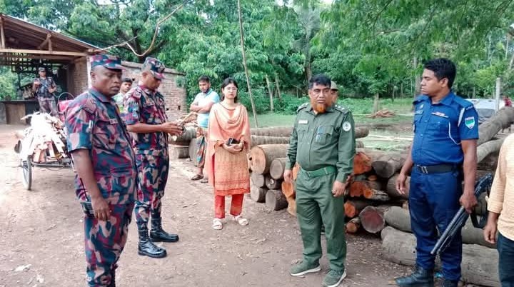 টাস্কফোর্সের অভিযানে তিন স-মিল বন্ধ, জরিমানা