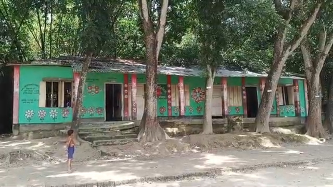 বৃষ্টি আর সাপের আতঙ্কেই চলছে ফরিদপুরে প্রাথমিক বিদ্যালয়ে পাঠদান কার্যক্রম