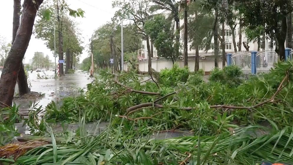 ভিয়েতনাম টাইফুন বুয়ালোইয়ের আঘাতে লণ্ডভণ্ড, মৃত্যু বেড়ে ১৯