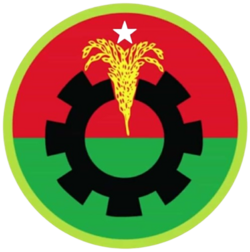 দীর্ঘ ১৭ বছর পর সাতক্ষীরা সদর উপজেলার বিএনপির কমিটি গঠন