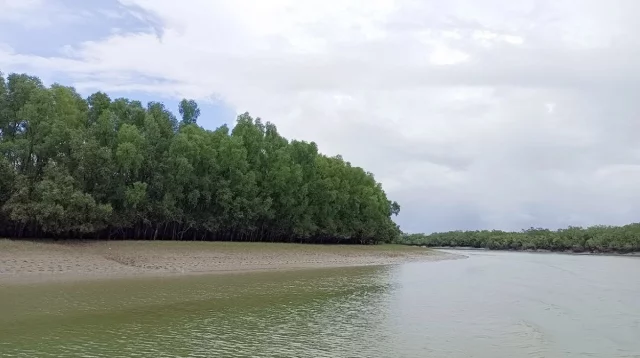 মুক্তিপণের দাবিতে সুন্দরবনে ৭ জেলেকে অপহরণ করেছে বনদস্যু ডন বাহিনী