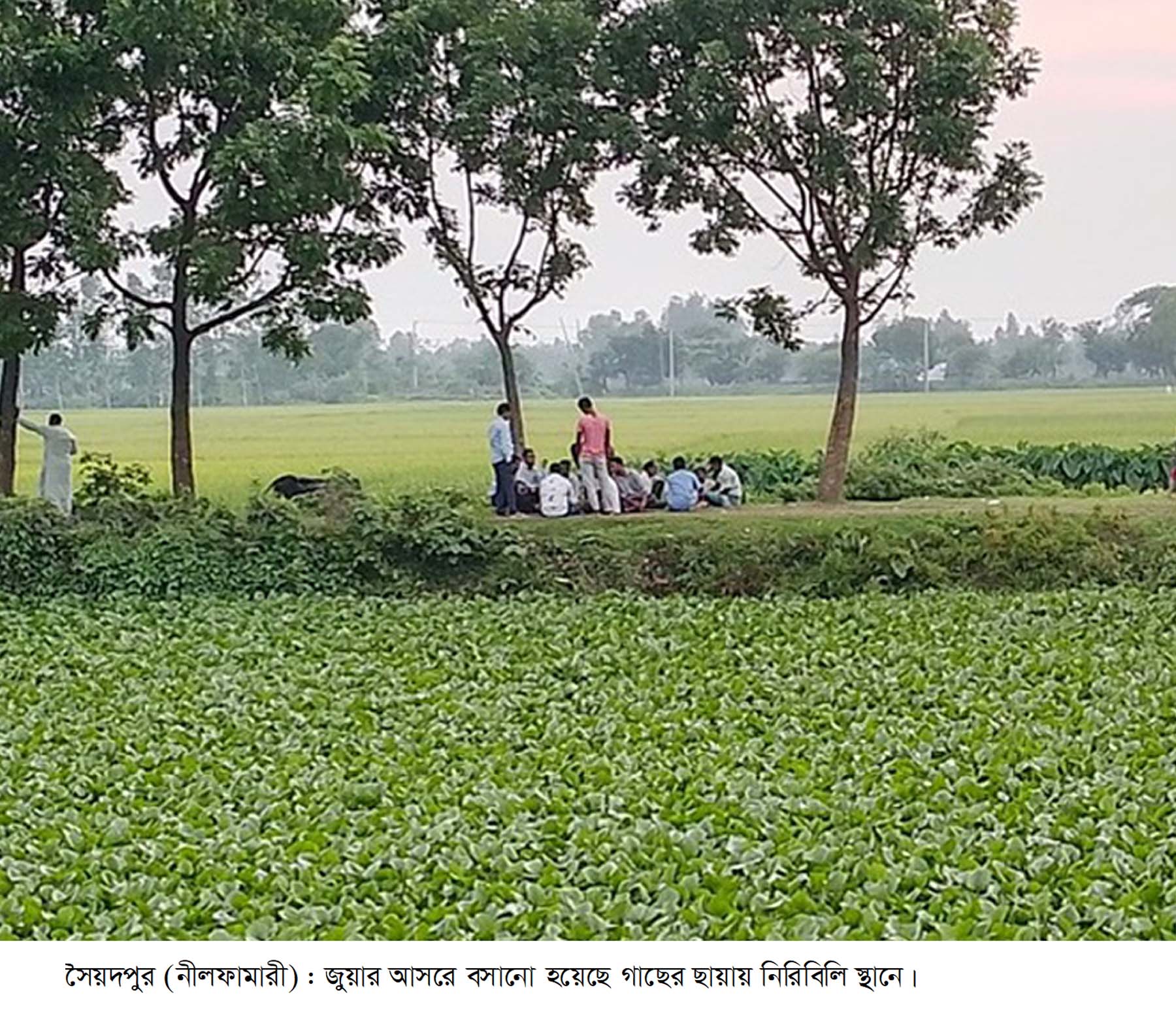 সৈয়দপুরে দেড় শতাধিক স্পটে বসে জুয়ার আসর, বাড়ছে সামাজিক অশান্তি