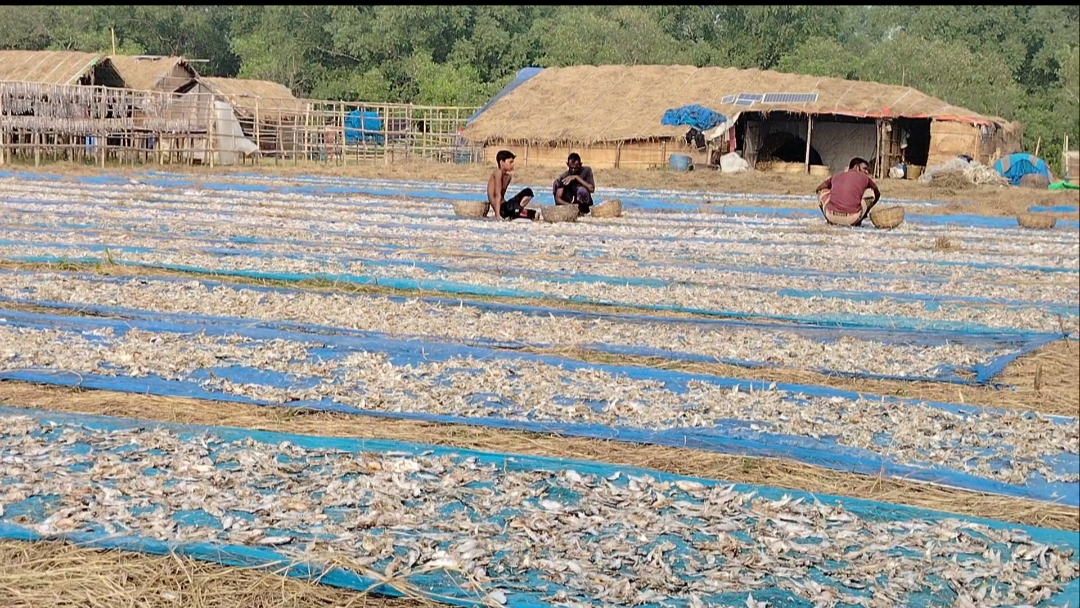বনদস্যুর আতঙ্কে ও মহাজনের সুদের ফাঁদে টিকে থাকার লড়াই