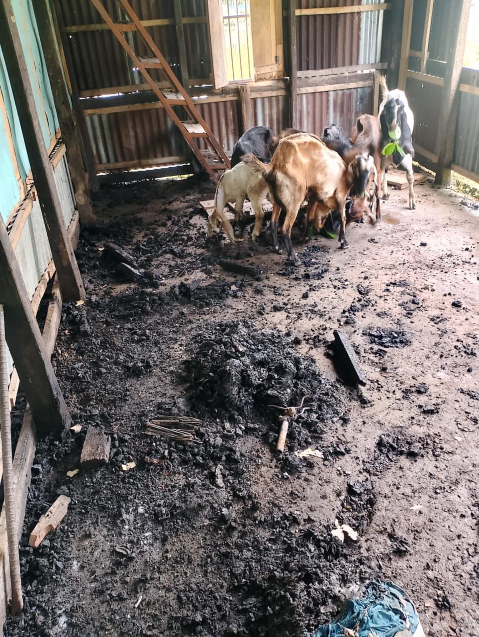 উজিরপুরে খ্রিষ্টান পল্লিতে হামলা, ভাঙচুর ও অগ্নিসংযোগ-লুটপাট