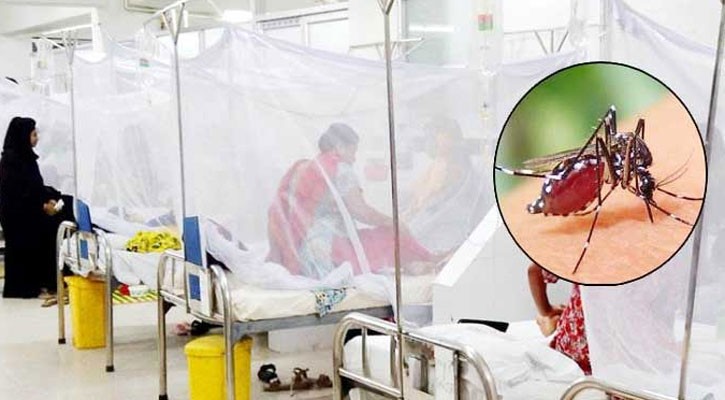 ডেঙ্গুতে আরো ৪ জনের মৃত্যু; আক্রান্ত ২৪৭