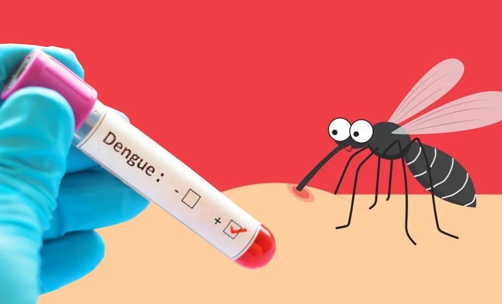 ২৪ ঘণ্টায় ডেঙ্গুতে আরও ৩ জনের মৃত্যু