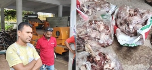 সাতক্ষীরায় মোবাইল কোর্টে  জেল ও জরিমানা