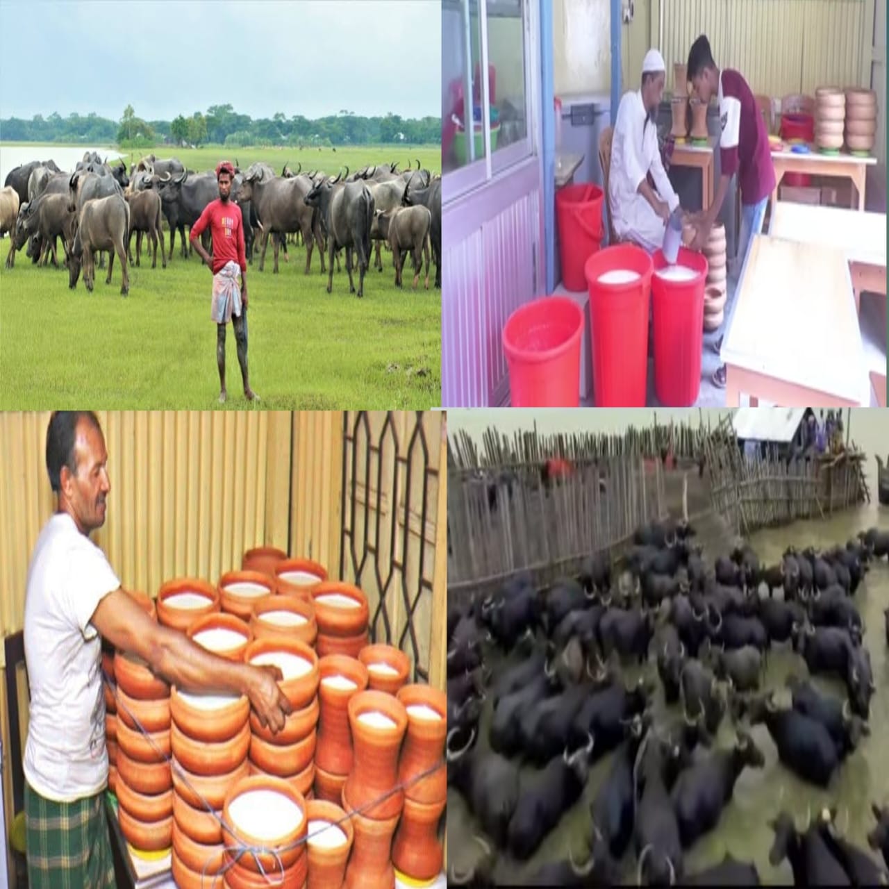 অর্থনৈতিক উন্নয়নে নতুন সম্ভাবনা