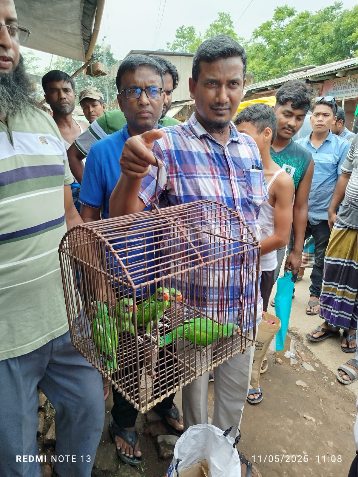 ক্রেতা সেজে টিয়া ছানা জব্দ, বিক্রেতাকে ২৫ হাজার টাকা অর্থদণ্ড