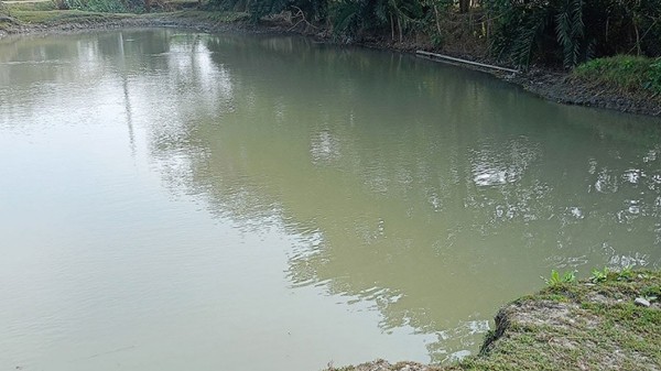 টাঙ্গাইলে পানিতে ডুবে ৩ শিশুর মর্মান্তিক মৃত্যু