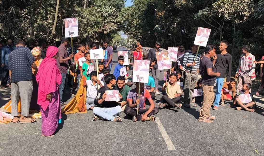 কুকুর মালিককে গ্রেফতারের দাবিতে সৈয়দপুরে সড়ক অবরোধ, আটক ১