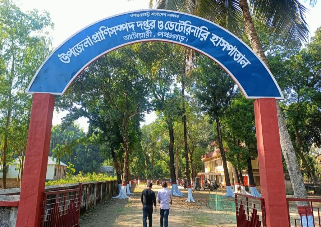 আটোয়ারীতে স্বাস্থ্য পরীক্ষা ছাড়াই জবাই হচ্ছে রুগ্ন পশু, দায়সারা জবাব প্রাণিসম্পদের