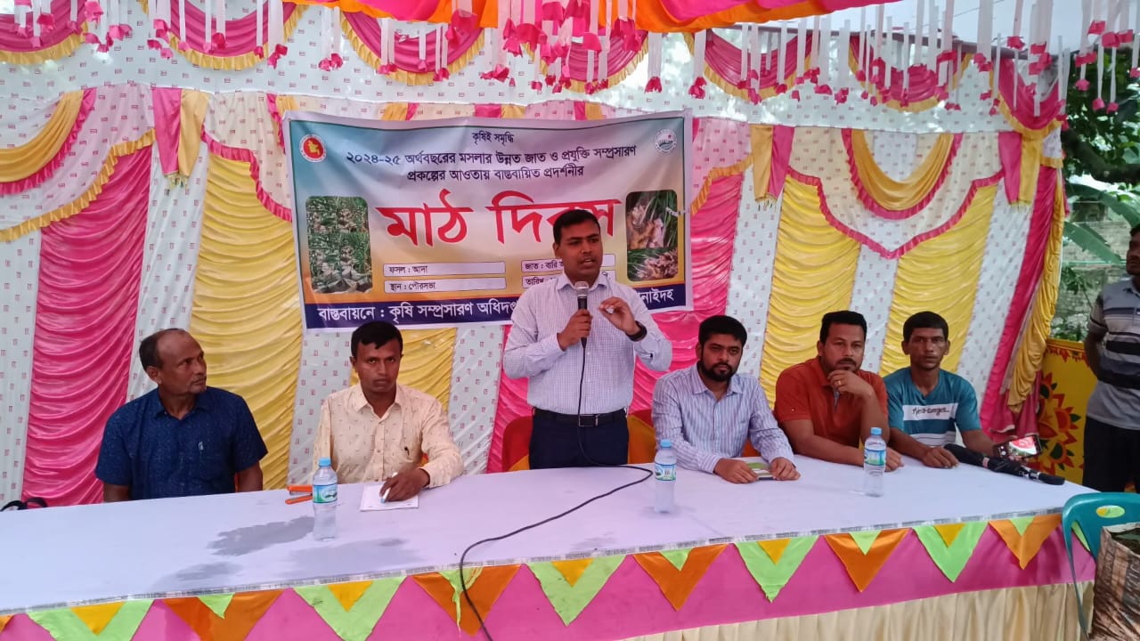 ঝিনাইদহে বস্তায় আদা চাষ বিষয়ক মাঠ দিবস অনুষ্ঠিত