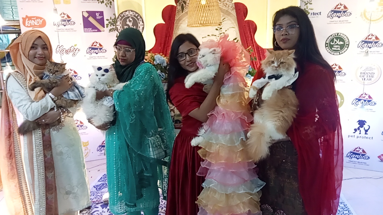 খুলনায় ব্যতিক্রমী 'বিড়ালের শো'