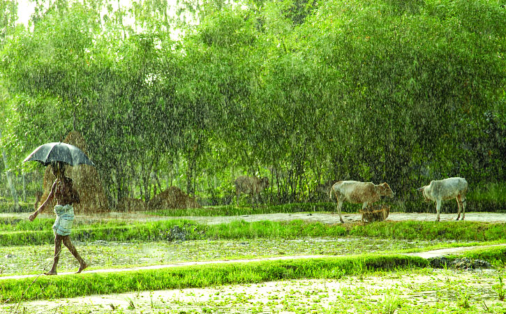 ৬ বিভাগে ভারি বৃষ্টিপাতের সম্ভবনা