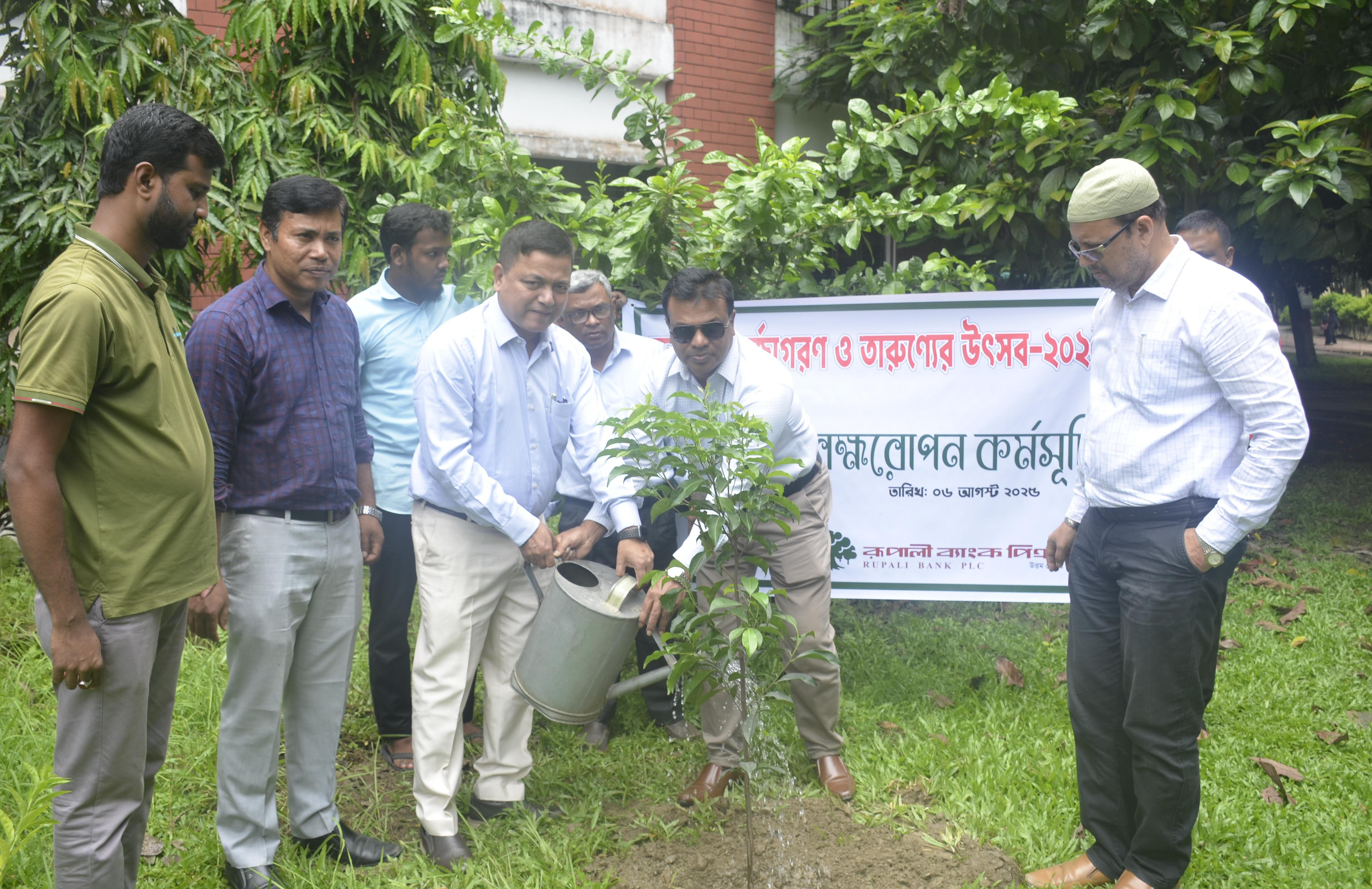 বেরোবিতে জুলাই পুনর্জাগরণ ও তারুণ্যের উৎসব উপলক্ষ্যে বৃক্ষরোপণ কর্মসূচি পালন