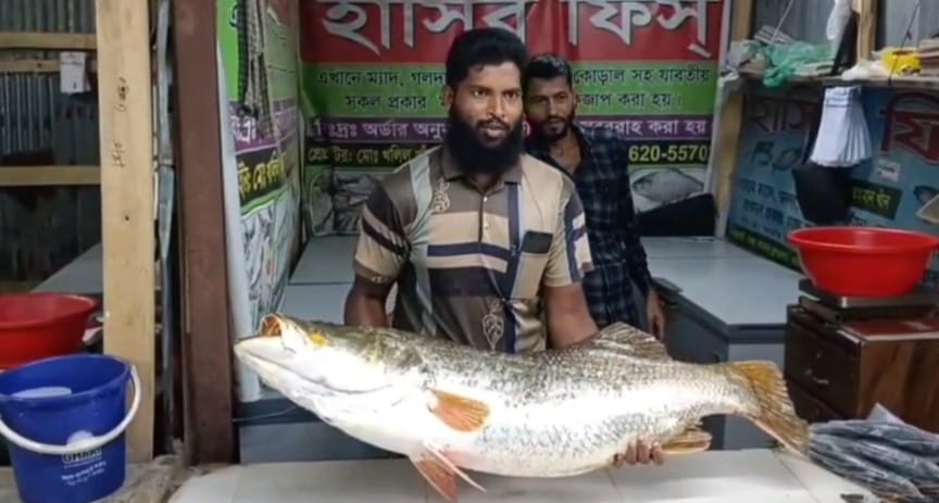 বঙ্গোপসাগরে মোহনায় ধরা পড়লে ২২কেজি ওজনের কোরাল