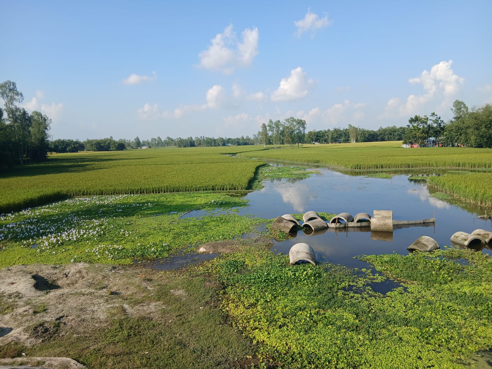 দখল দূষণে ডিমলার ৪টি নদী