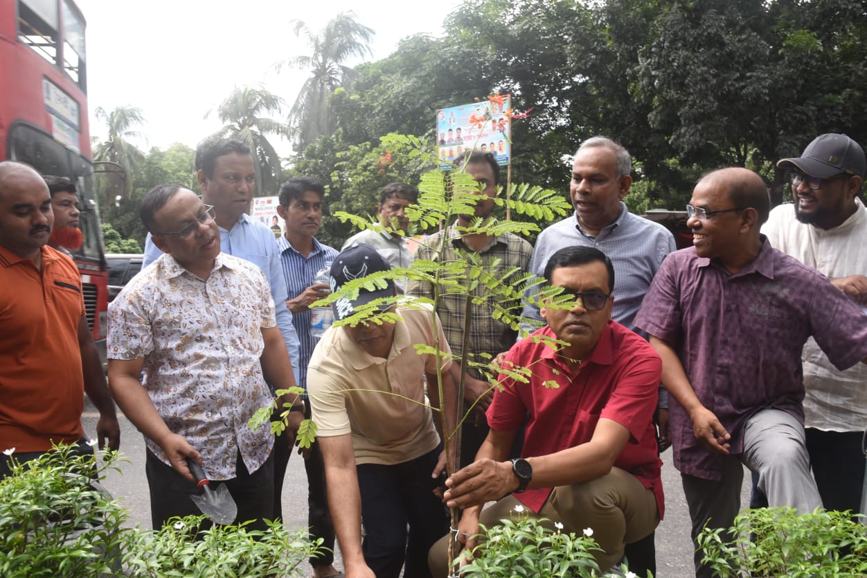 বৃক্ষরোপণ ও সবুজায়নের উদ্বোধন করলেন ডিএসসিসি প্রশাসক