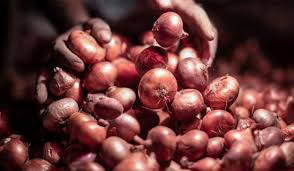 সিন্ডিকেটের কারসাজিতে দুই দিনে পেঁয়াজের দাম বেড়েছে ৪০ টাকা