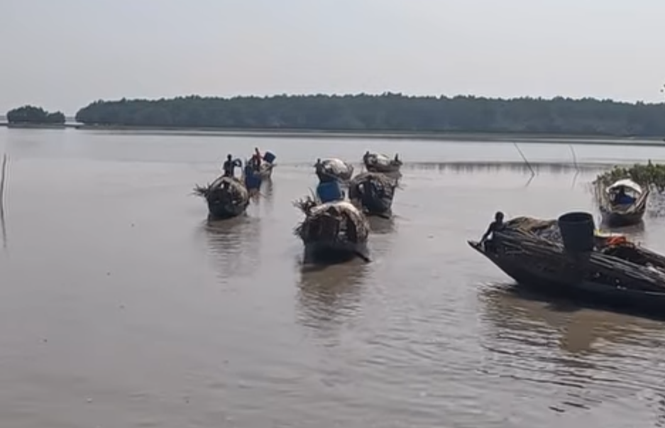 সুন্দরবনে বিষ দিয়ে অবাধে মাছ শিকার চক্র সক্রিয়