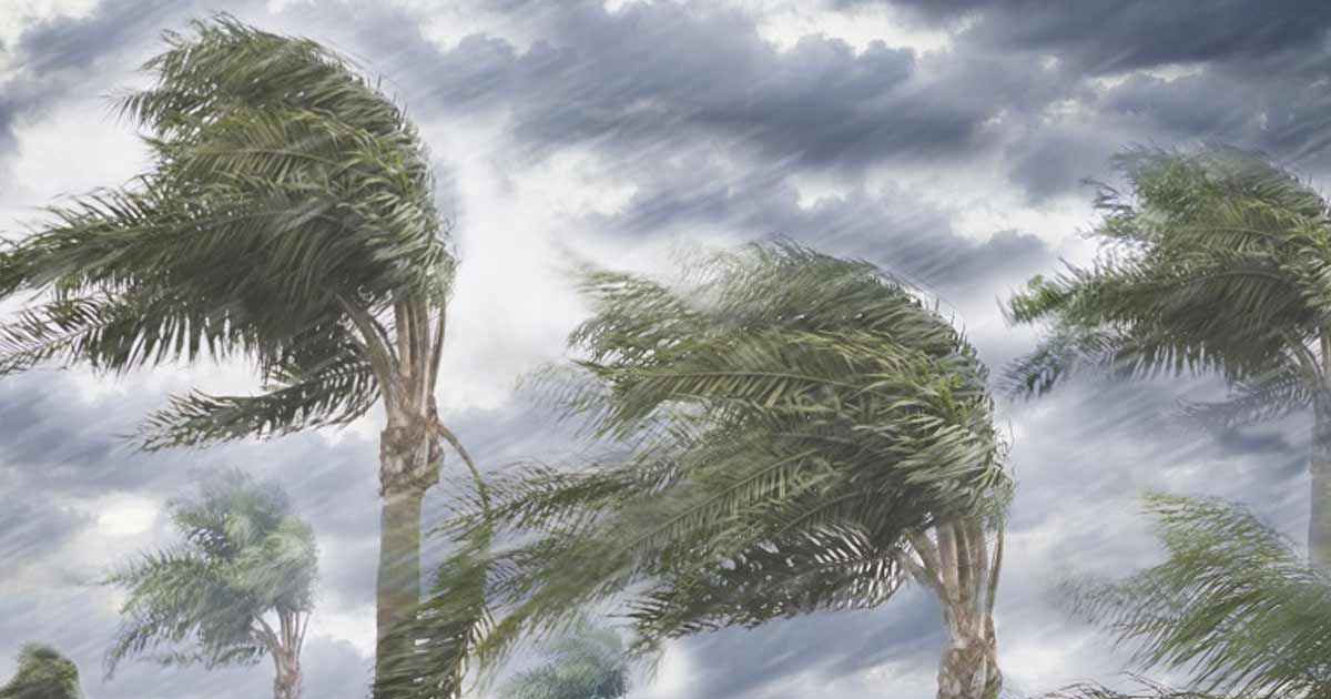 আগামী ৫ দিনে বজ্রসহ ভারি বৃষ্টির সম্ভবনা