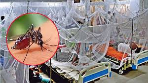 ডেঙ্গুতে আরও মূত্যু ৩ , হাসপাতালে ভর্তি ৩২৫