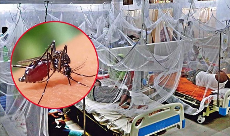ডেঙ্গুতে আরও ৫ মৃত্যু, নতুন ভর্তি ১,১৩৯ জন