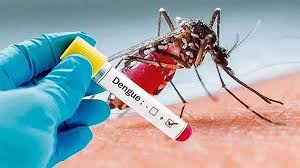 একদিনে ডেঙ্গুতে ৬ মৃত্যু, হাসপাতালে ভর্তি ৬৪৭