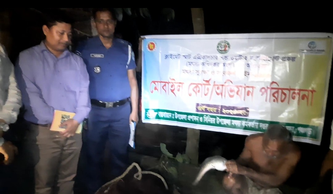 গোপনে নিষিদ্ধ আফ্রিকান মাগুর চাষ, ভ্রাম্যমাণ আদালতে জরিমানা