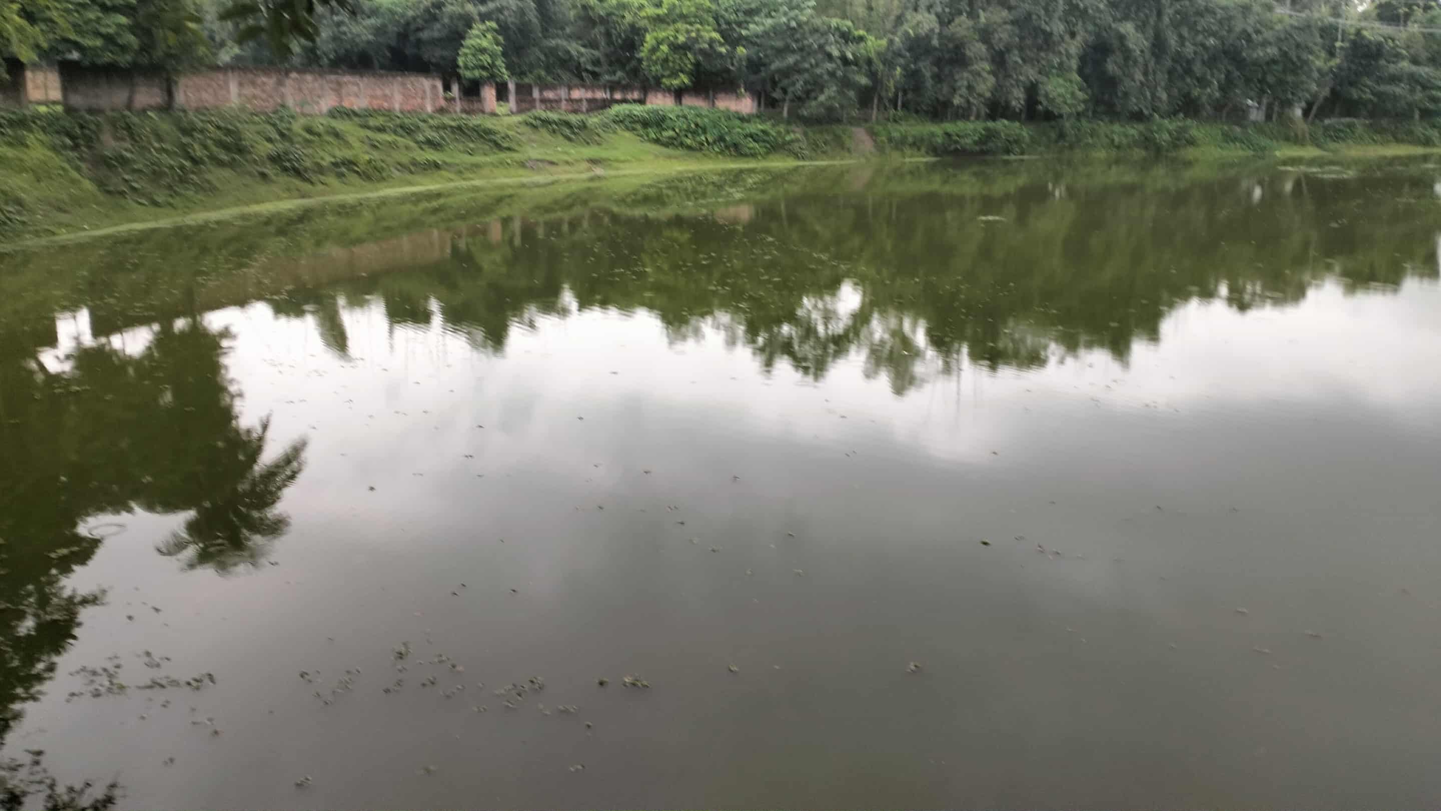 জামালপুরে পুকুর থেকে ২০ লাখ টাকা মাছ লুটের অভিযোগ