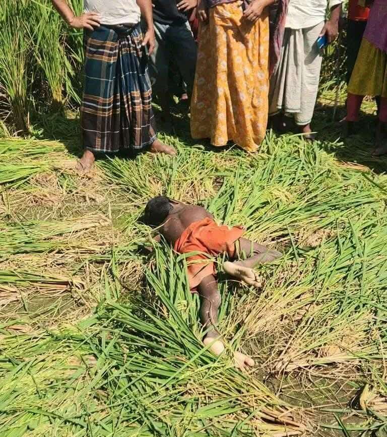 নিখোঁজ শিশুর মরদেহ ধানখেত থেকে উদ্ধার