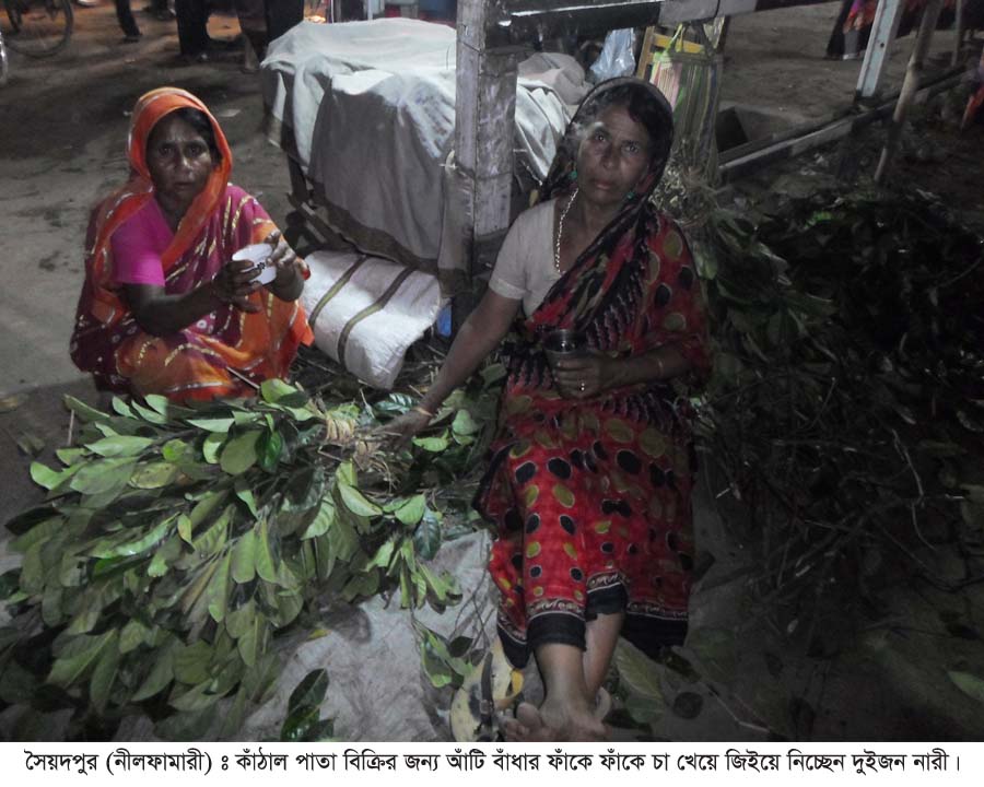 সৈয়দপুরে কাঁঠাল পাতায় জীবন ও জীবিকা