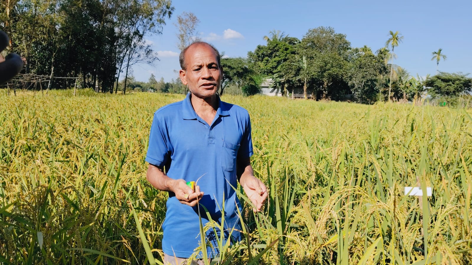 ২৩ জাতের ধান উদ্ভাবন করেও স্বীকৃতির অপেক্ষায় সেন্টু হাজং