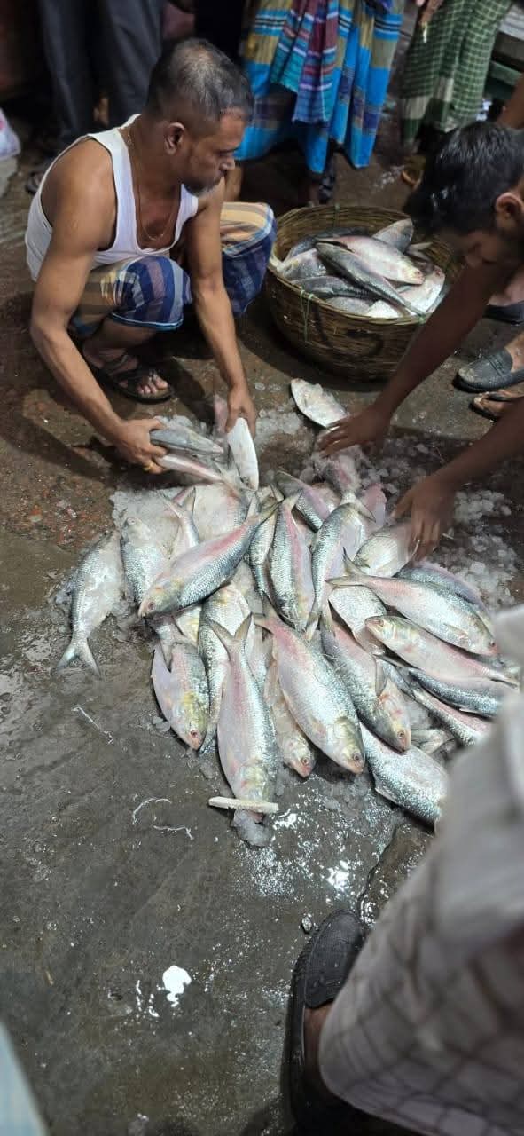 নিষেধাজ্ঞার আগের দিন বরিশালে ইলিশের মেলা