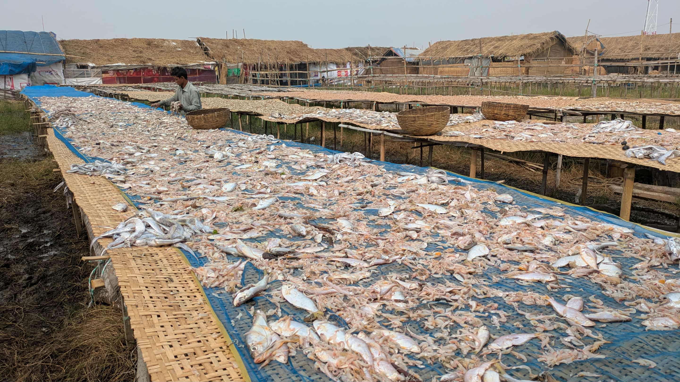 পাঁচ মাসে ভাসমান জনপদ, জীবন ও আশা