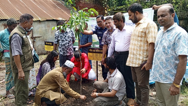 জুলাই গণঅভ্যুত্থানে' পাঁচ শহীদের স্মরণে বৃক্ষরোপণ