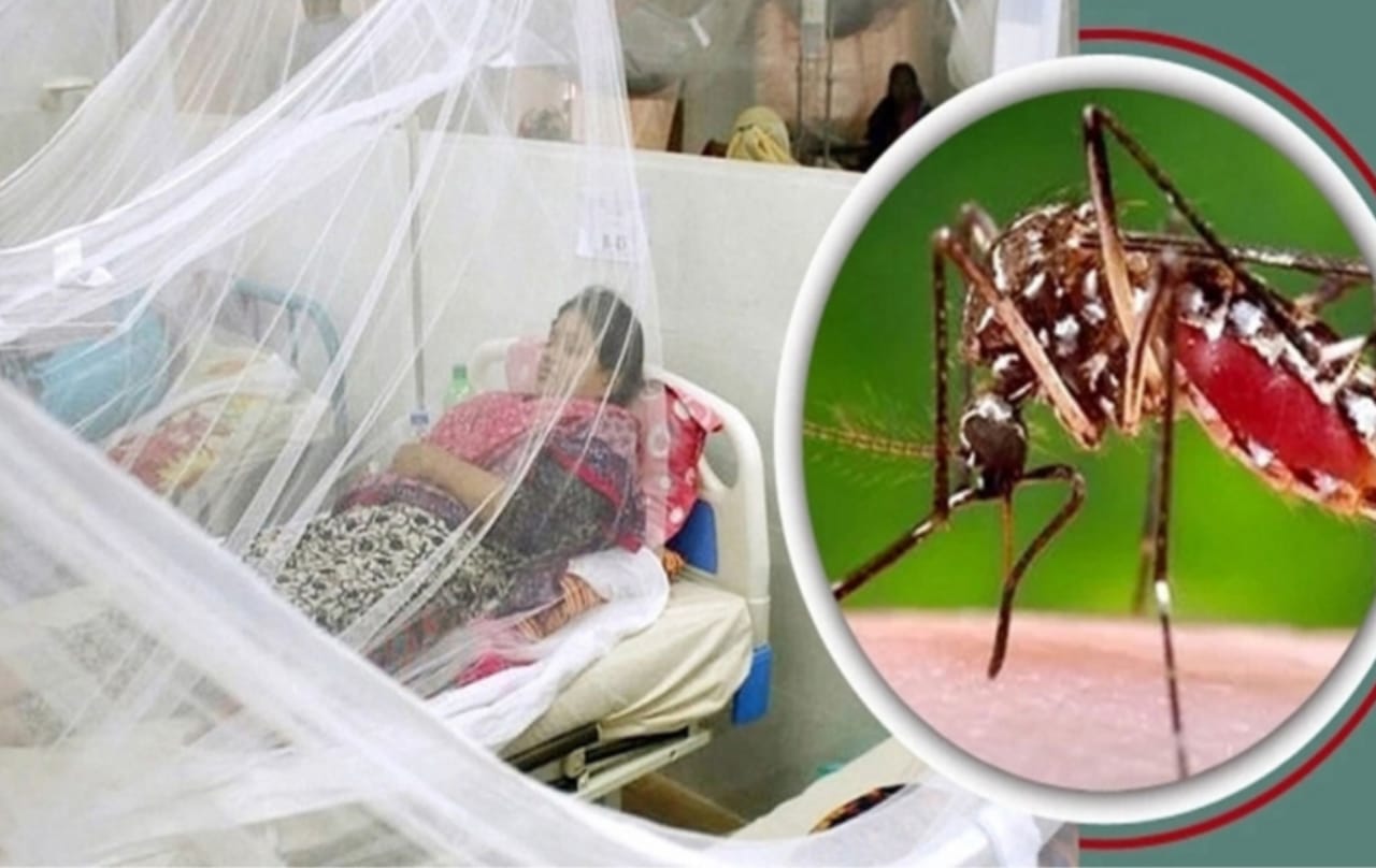 বরিশালে একদিনে ১৩৮ জন ডেঙ্গু আক্রান্ত