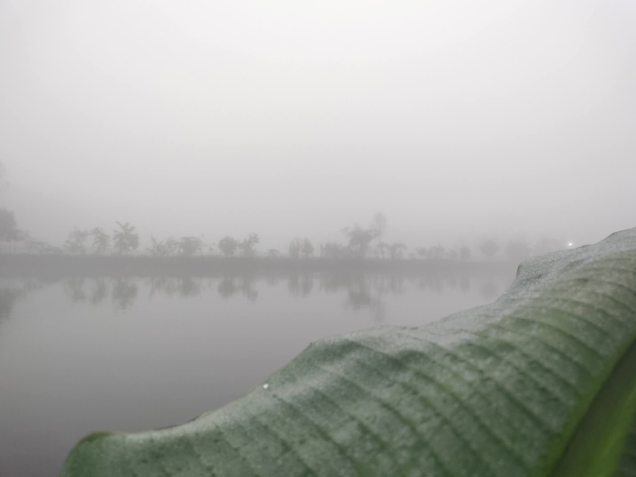 বর্ষাকালে তীব্র গরমে পঞ্চগড়ে দেখা মিলল ঘন কুয়াশার