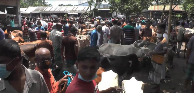 শেষ সময়েও জমছে না সাতক্ষীরার পশুর হাট