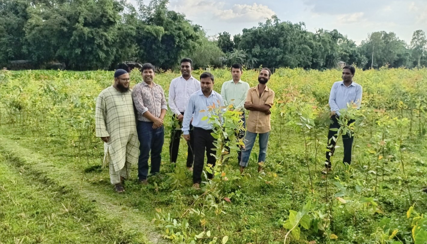 পাটগ্রামে ধ্বংস করা হলো ইউক্যালিপটাস গাছের চারা