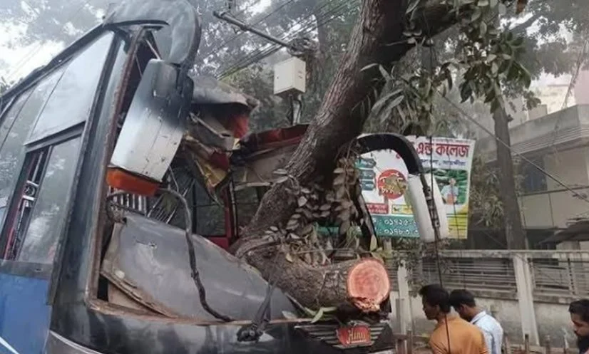নিয়ন্ত্রণ হারিয়ে গাছের সঙ্গে বাসের ধাক্কা: নিহত ১