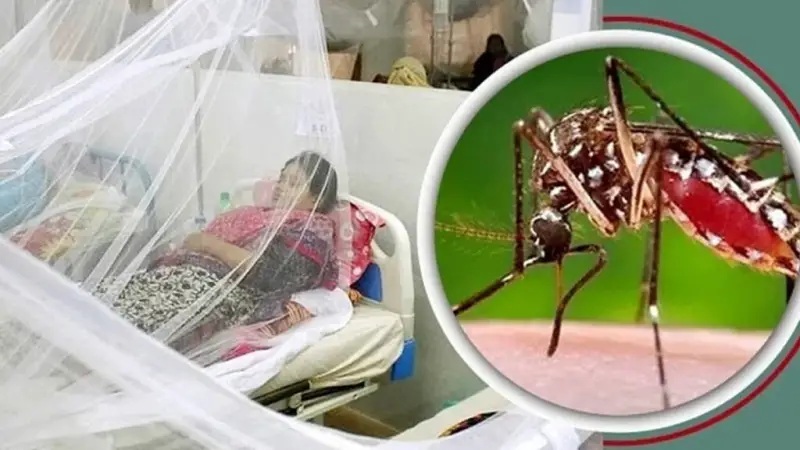 বরিশালে চোখ রাঙাচ্ছে ডেঙ্গু : ২৪ ঘণ্টায় তিন জনের মৃত্যু
