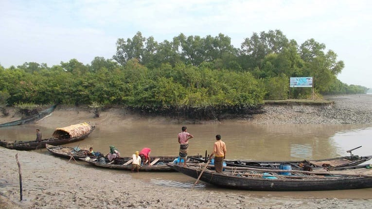 সুন্দরবন উপকূলের জেলেদের জীবন হতাশাগ্রস্ত