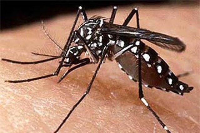 গত ২৪ ঘণ্টায় ডেঙ্গুতে আরো একজনের মৃত্যু, হাসপাতালে ৩৯১
