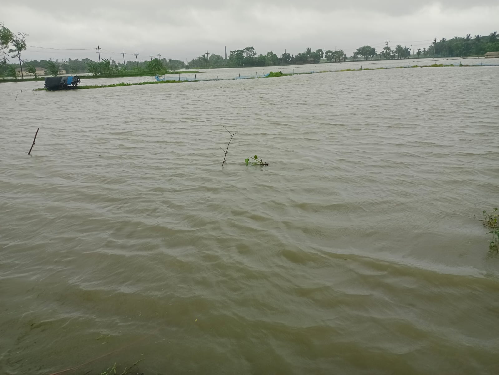 সাতক্ষীরায় ভারী বর্ষণে বিপর্যস্ত জনজীবন: দেখা দিয়েছে ভয়াবহ জলাবদ্ধতা